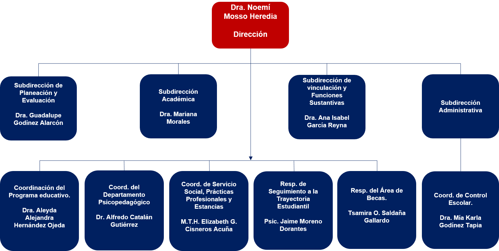organigrama